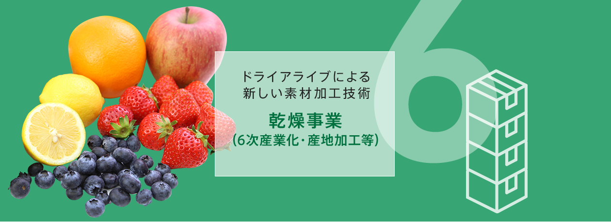 ドライアライブによる新しい素材加工技術　乾燥事業（6次産業化・産地加工等）